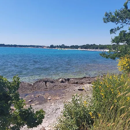Mit Pool, Klimaanlage, Wlan, Grill, Aussenterrasse In *